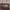 Loro Piana Luxury Shoulder bag Wanita brown photo 1