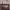 Loro Piana Luxury Shoulder Bag Wanita Brown