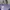 Marhen J Casual Handbag Wanita Purple
