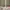 GAP Streetwear Indie Hoody Pria green khaki photo 6