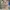 GAP Streetwear Indie Hoody Pria green khaki photo 7