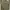 GAP Streetwear Indie Hoody Pria green khaki photo 2