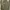 GAP Streetwear Indie Hoody Pria Green Khaki