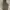 GAP Streetwear Indie Hoody Pria green khaki photo 1