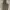 GAP Streetwear Indie Hoody Pria Green Khaki