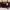 Longchamp Casual Crossbody Bag Wanita burgundy photo 1