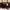 Longchamp Casual Crossbody Bag Wanita Burgundy