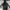 Adidas Sportswear Track jacket Pria white black photo 1