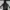Adidas Sportswear Track Jacket Pria White Black