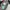 Balenciaga Luxury Bags & purse Wanita green photo 4