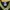 Reebok Sportswear Jersey Pria green photo 4