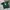 Reebok Sportswear Jersey Pria Green