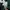Reebok Sportswear Jersey Pria green photo 6