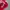 Levi's Casual T-shirt Pria red photo 4
