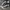 Converse Streetwear Minimalist Sneakers Pria brown photo 5