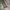 ZARA Biker Bomber jacket Pria green khaki photo 6