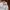 Crocodile Gorpcore Grunge Puffer jacket Pria silver white photo 3