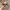 Vintage Hat Pria tan cream photo 1