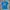 Evisu Casual T-shirt Pria Blue