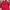 Canterbury Casual Polo shirt Pria red photo 2