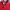 Canterbury Casual Polo shirt Pria red photo 3