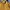 Hard Rock Cafe Casual Polo shirt Pria yellow photo 3