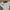 Pull & Bear Indie Casual Shirt Wanita multicolor white photo 2