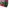 Japanese brand Streetwear Y2K T-shirt Pria multicolor photo 5