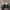 Adidas Casual Sneakers Wanita white green photo 4