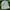 Carhartt Luxury Indie Hat Pria cream photo 2