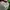 Carhartt Luxury Indie Hat Pria cream photo 3