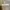 ZARA Futurist Casual Culotte Wanita tan photo 8