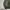 Levi's Vintage Bomber jacket Pria green photo 3