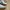 Adidas Casual Sneakers Pria white green photo 2