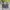 Y2K Crop top Wanita multicolor photo 2