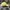 Polham Casual Hat Wanita yellow photo 4