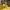 Polham Casual Hat Wanita yellow photo 6