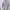 Michiko Koshino Minimalist Casual Formal shirt Pria white black photo 3
