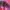 Y2K Casual Maxi skirt Wanita red photo 7