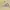 VANS Streetwear Casual Sneakers Wanita multicolor photo 1