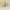 VANS Streetwear Casual Sneakers Wanita multicolor photo 2