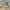 Streetwear Casual Casual pants Pria khaki photo 5