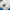 Wilson Sportswear Windbreaker Pria white photo 4