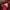 Champion Streetwear Sportswear Sweatshirt Pria red photo 4