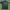 Sportswear Jersey Pria black photo 1