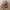 Carhartt Streetwear Hoody Pria tan photo 2