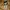 Carhartt Streetwear Hoody Pria tan photo 5
