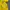 Nike Sportswear Jersey Pria yellow photo 5