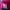 Asics Sportswear Windbreaker Wanita pink photo 4