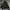 ZARA Casual Puffer jacket Pria green photo 1